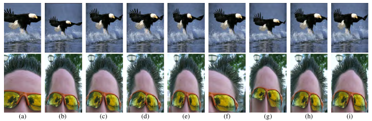 Refer to caption