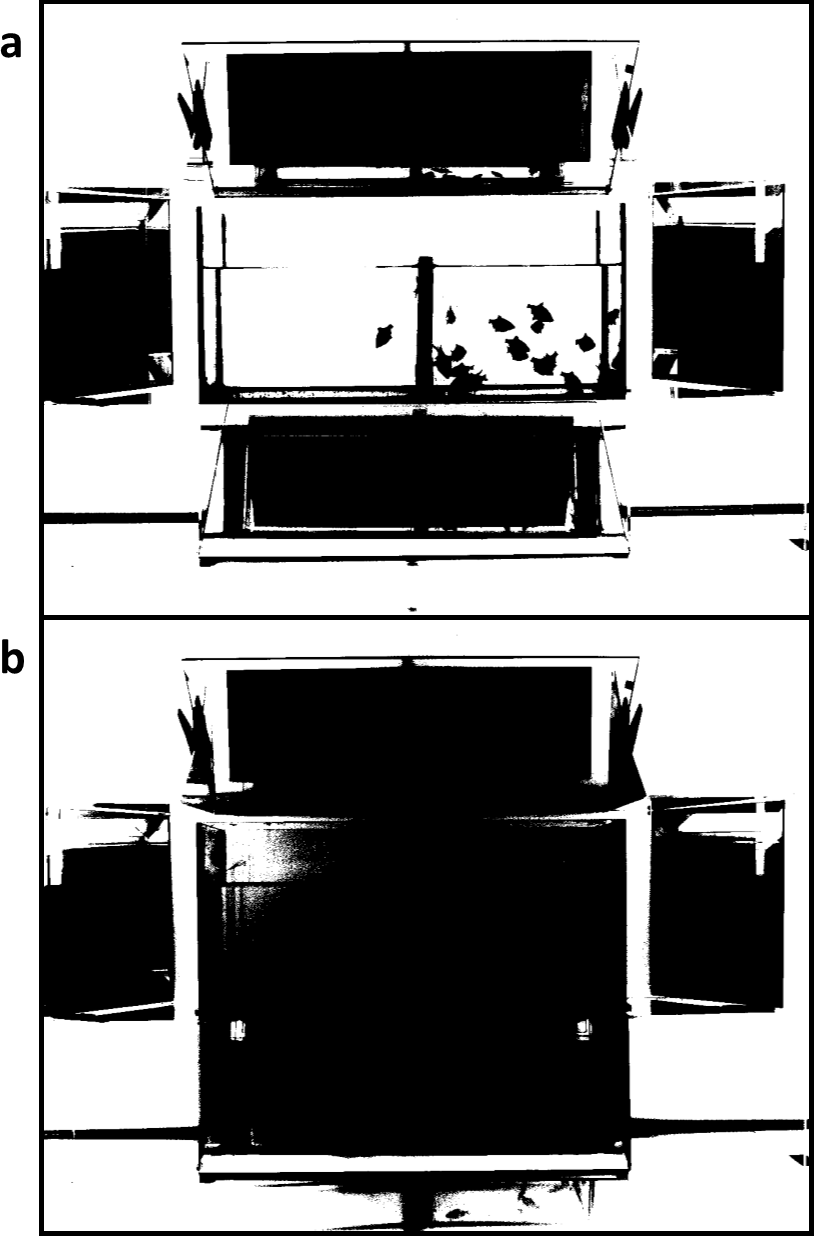 Refer to caption