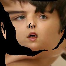Refer to caption