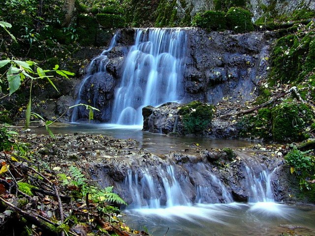 Refer to caption