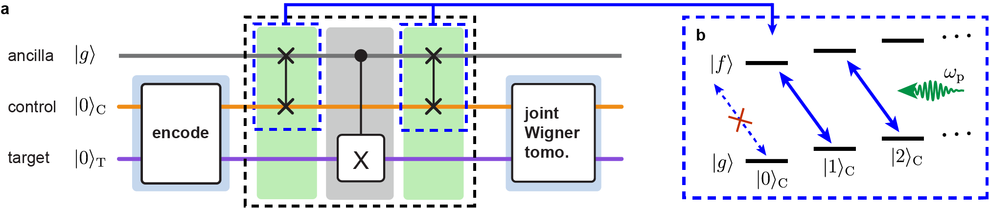 Refer to caption