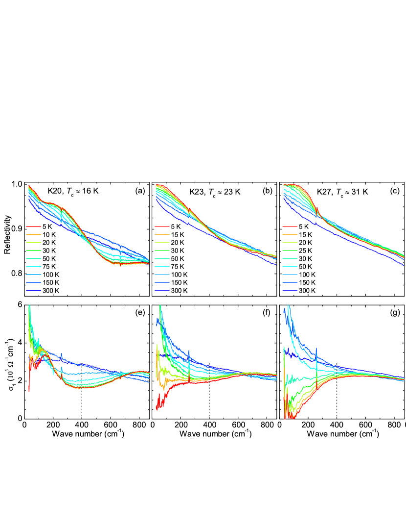 Refer to caption