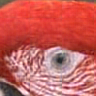 [Uncaptioned image]
