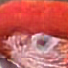 [Uncaptioned image]