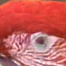 [Uncaptioned image]