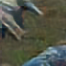 [Uncaptioned image]