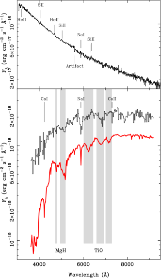 Refer to caption