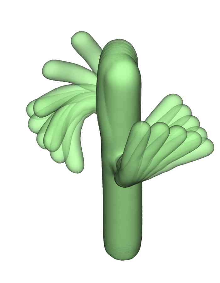 Refer to caption