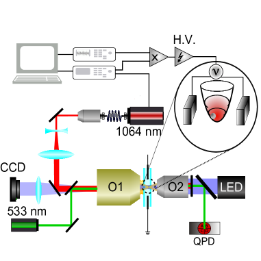 Refer to caption