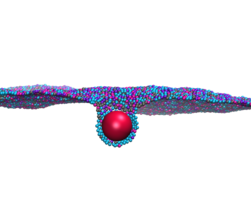 Refer to caption