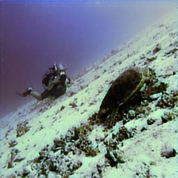 Refer to caption