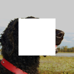 Refer to caption