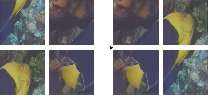 Refer to caption