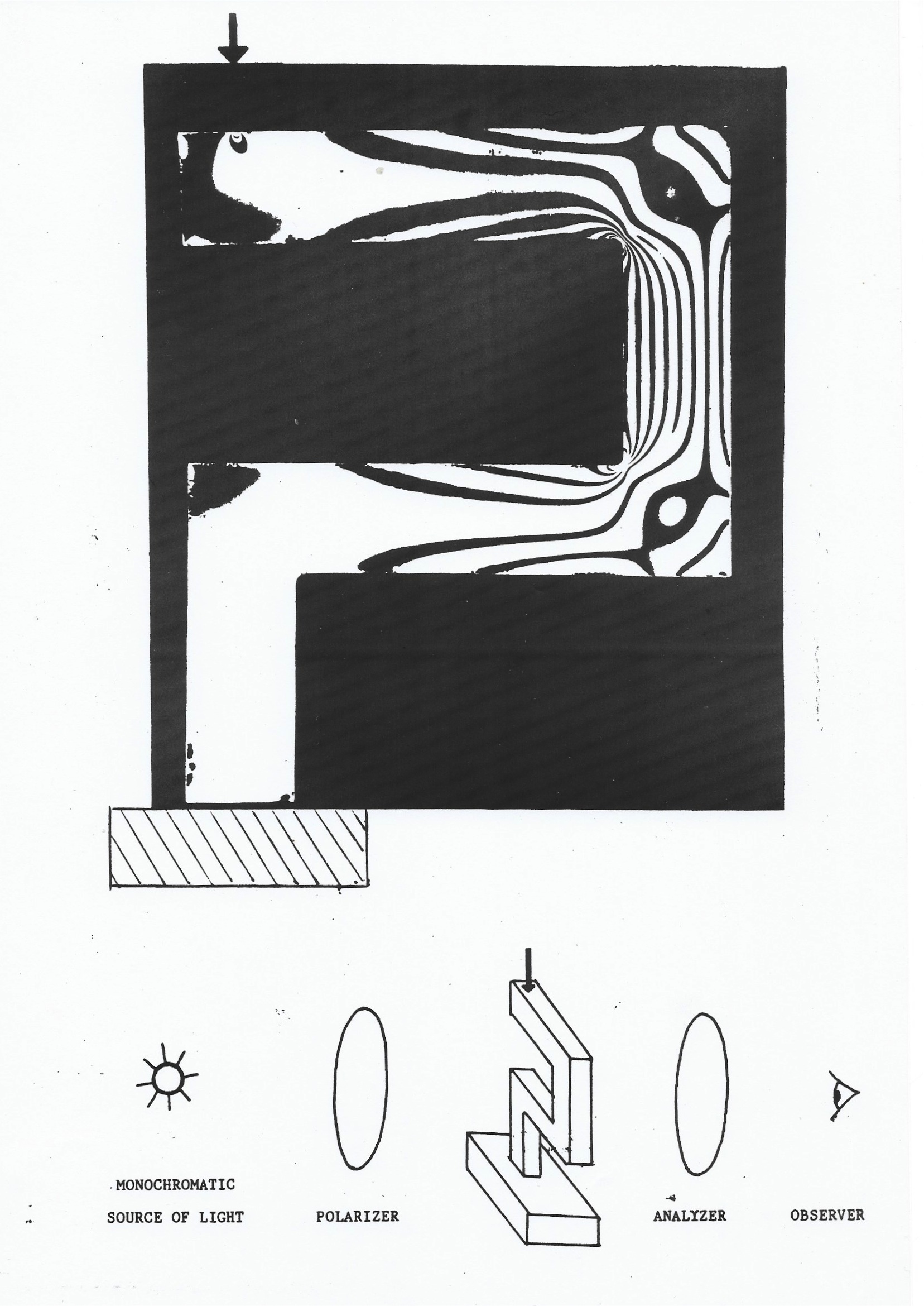 [Uncaptioned image]