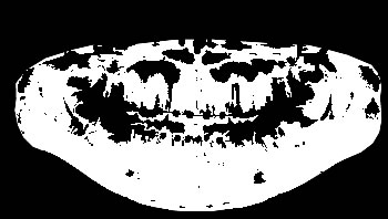 [Uncaptioned image]