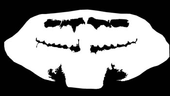 [Uncaptioned image]