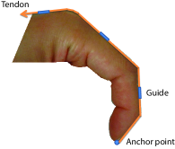 Refer to caption