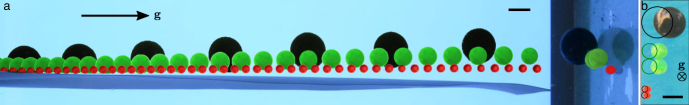 Refer to caption