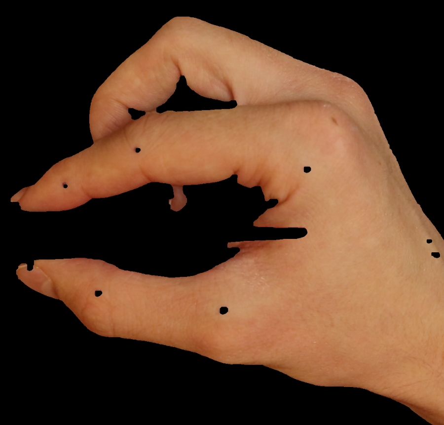 Refer to caption
