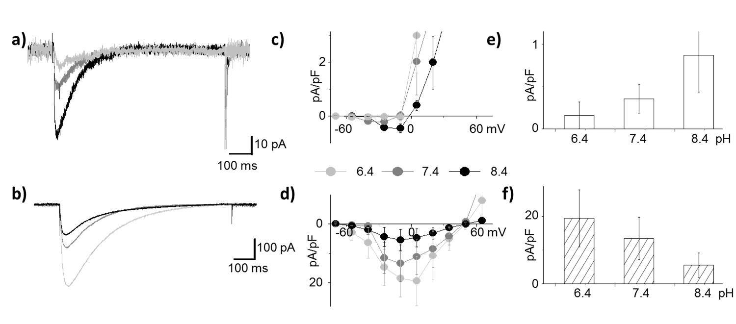 [1803.07063] Quantized Dehydration and the Determinants of Selectivity ...