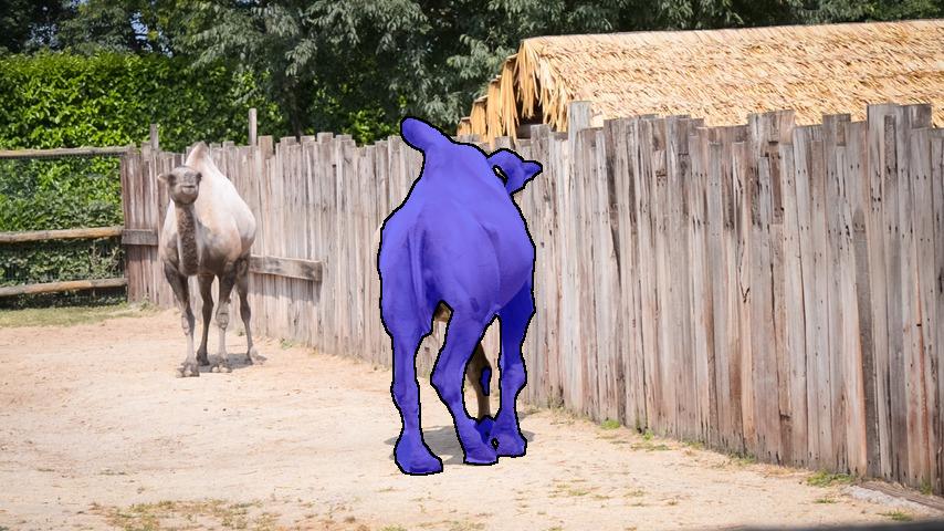 Refer to caption