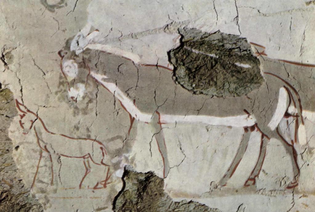 [Uncaptioned image]