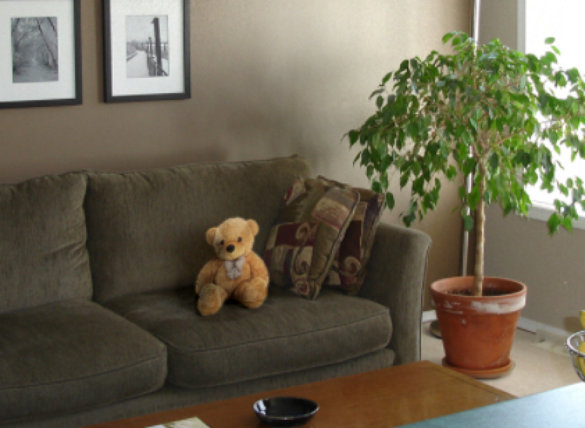 Refer to caption