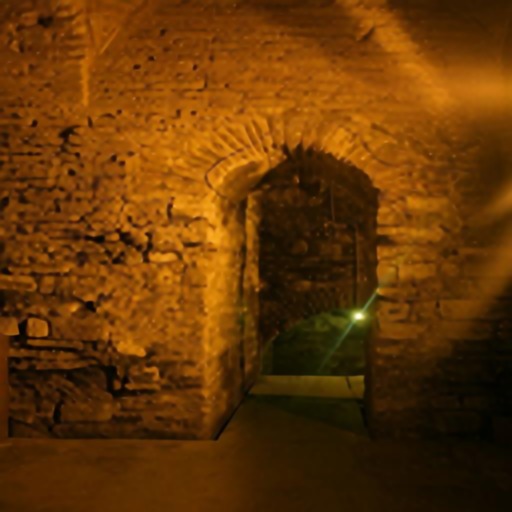 [Uncaptioned image]
