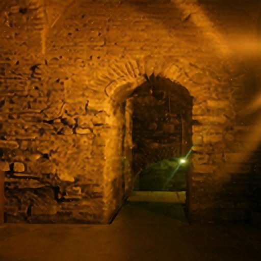 [Uncaptioned image]