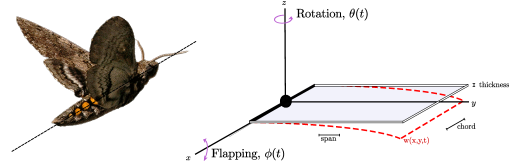 Refer to caption