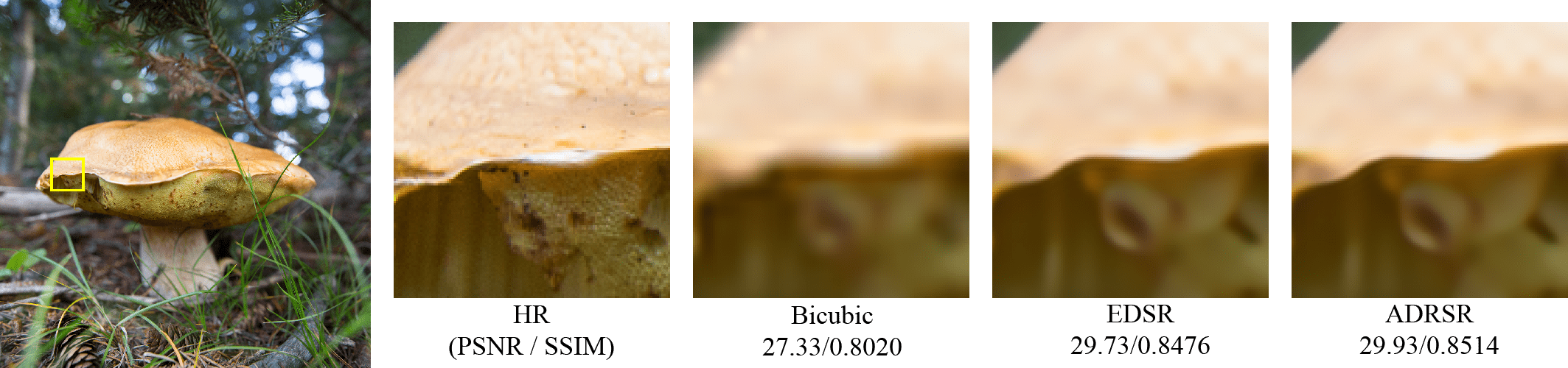 Refer to caption