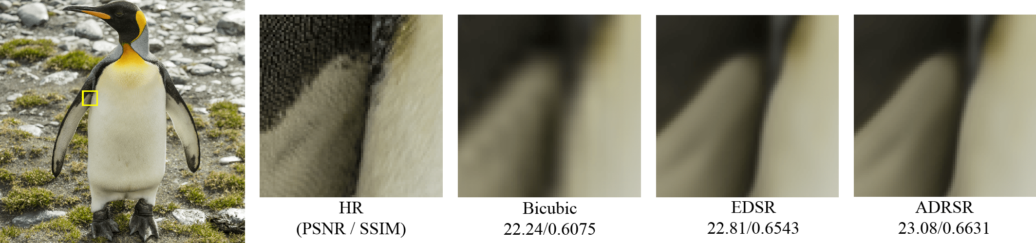 Refer to caption