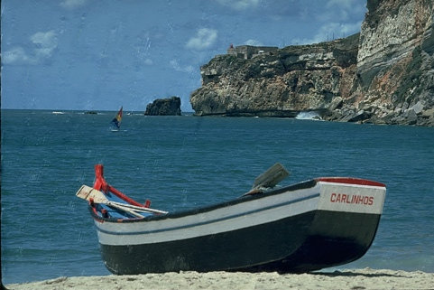 Refer to caption