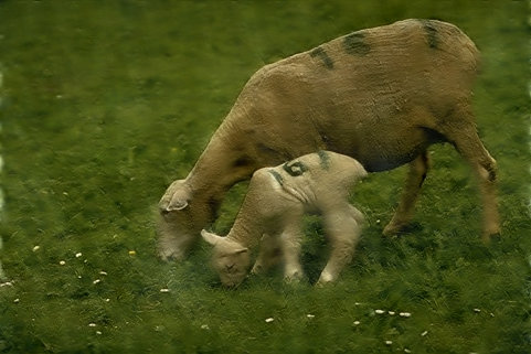 Refer to caption