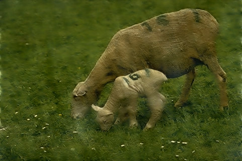 Refer to caption