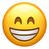 [Uncaptioned image]