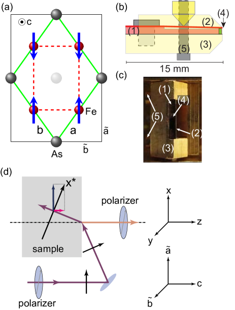Refer to caption