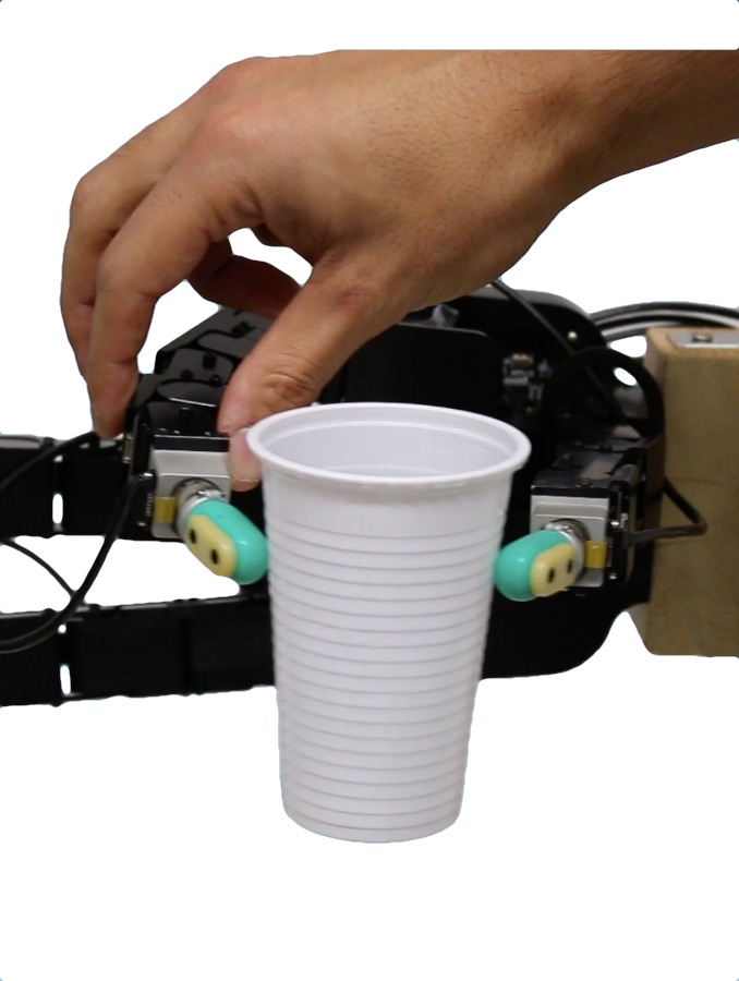 Refer to caption