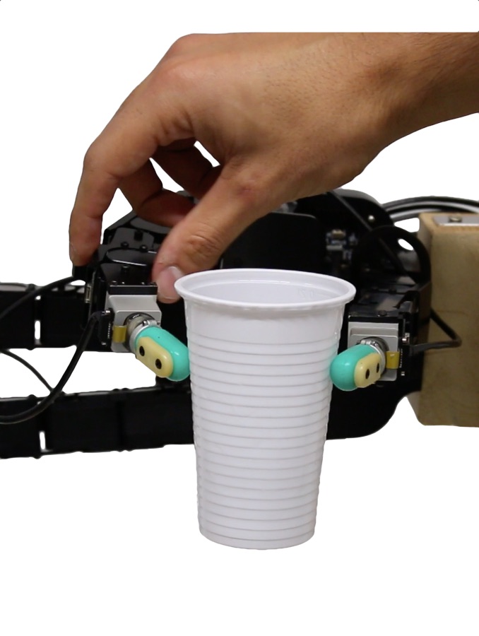 Refer to caption