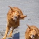 Refer to caption