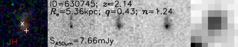 [Uncaptioned image]