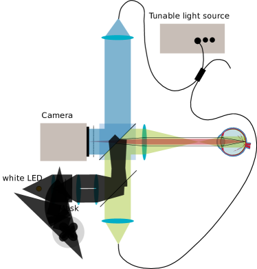 Refer to caption