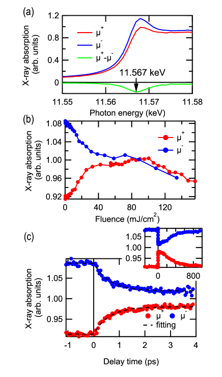 Refer to caption