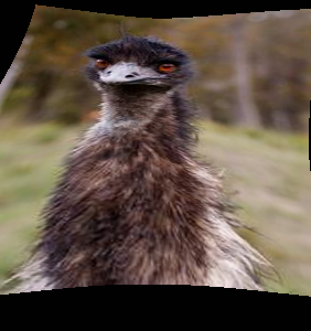 Refer to caption