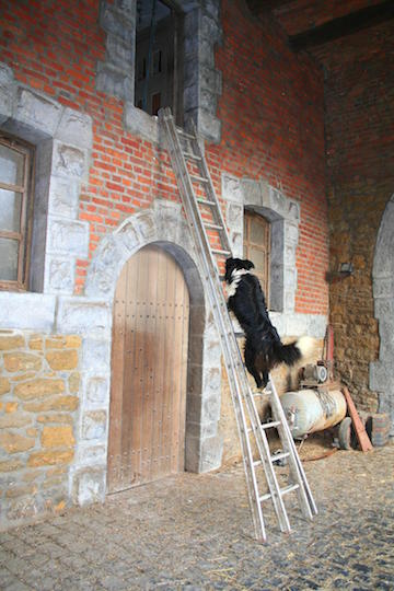[Uncaptioned image]