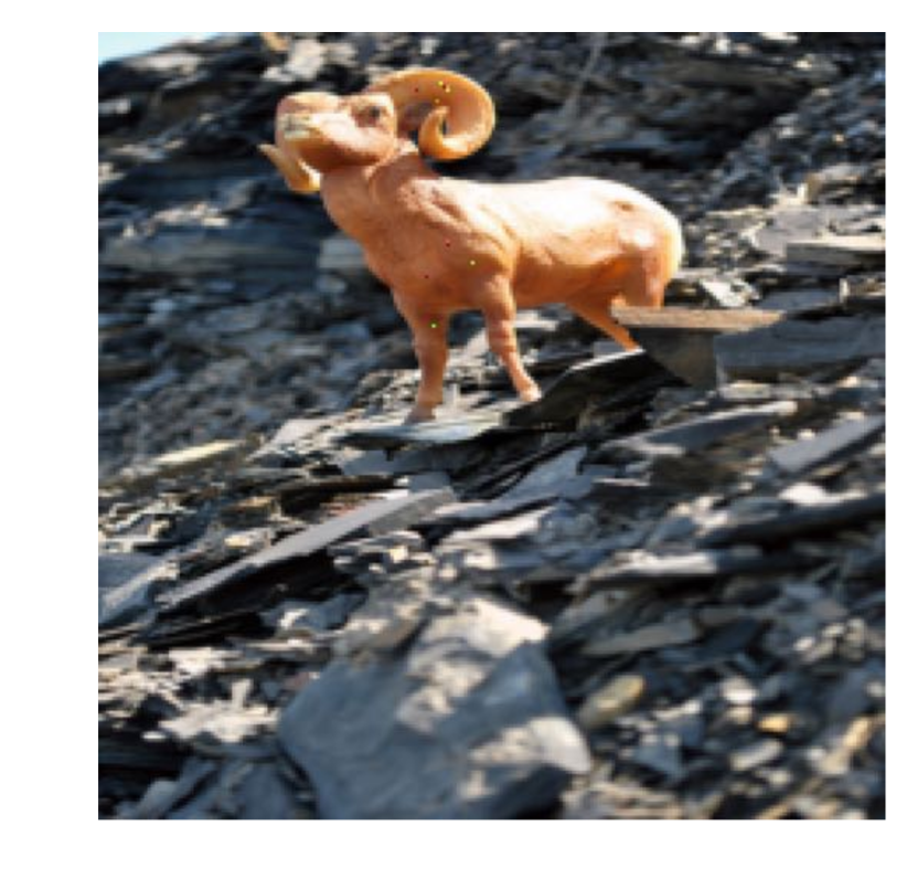 Refer to caption