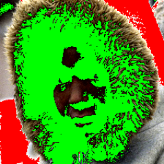 Refer to caption