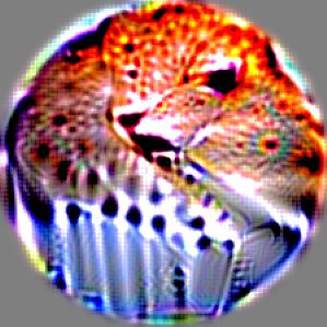 Refer to caption