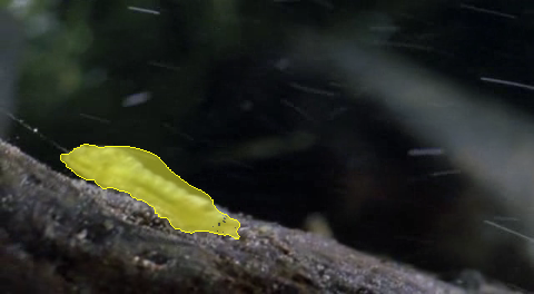 Refer to caption