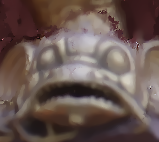 [Uncaptioned image]